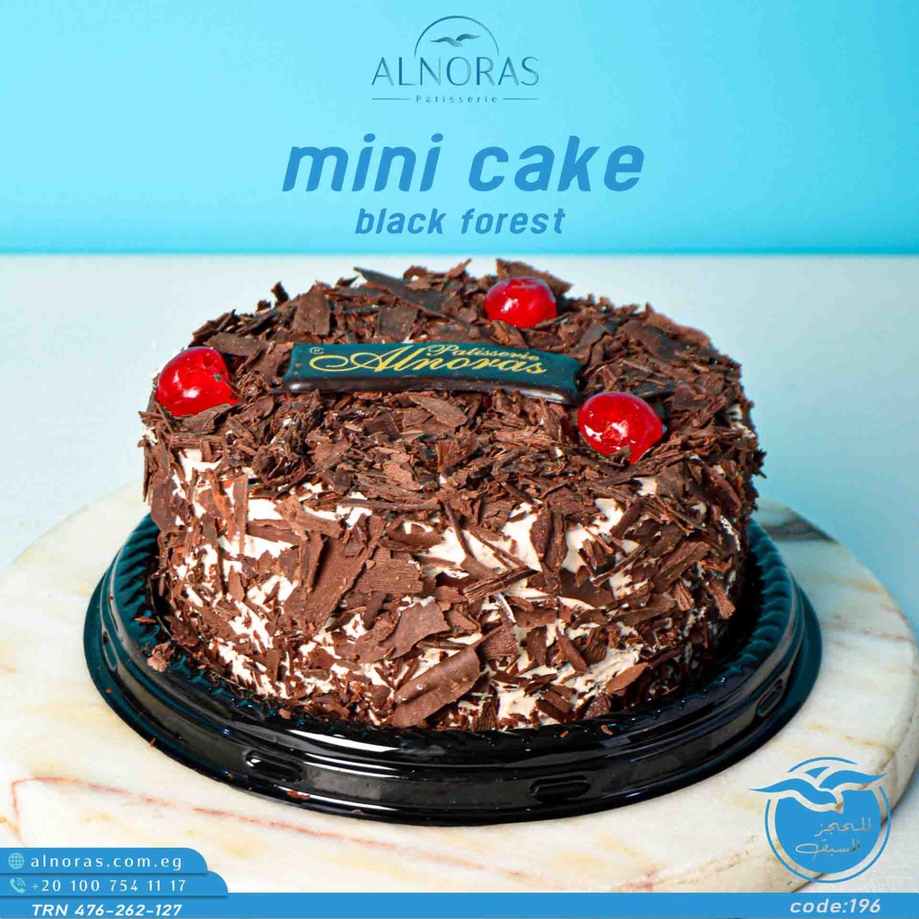 تورتة ميني بلاك فورست 14 سم كود 196