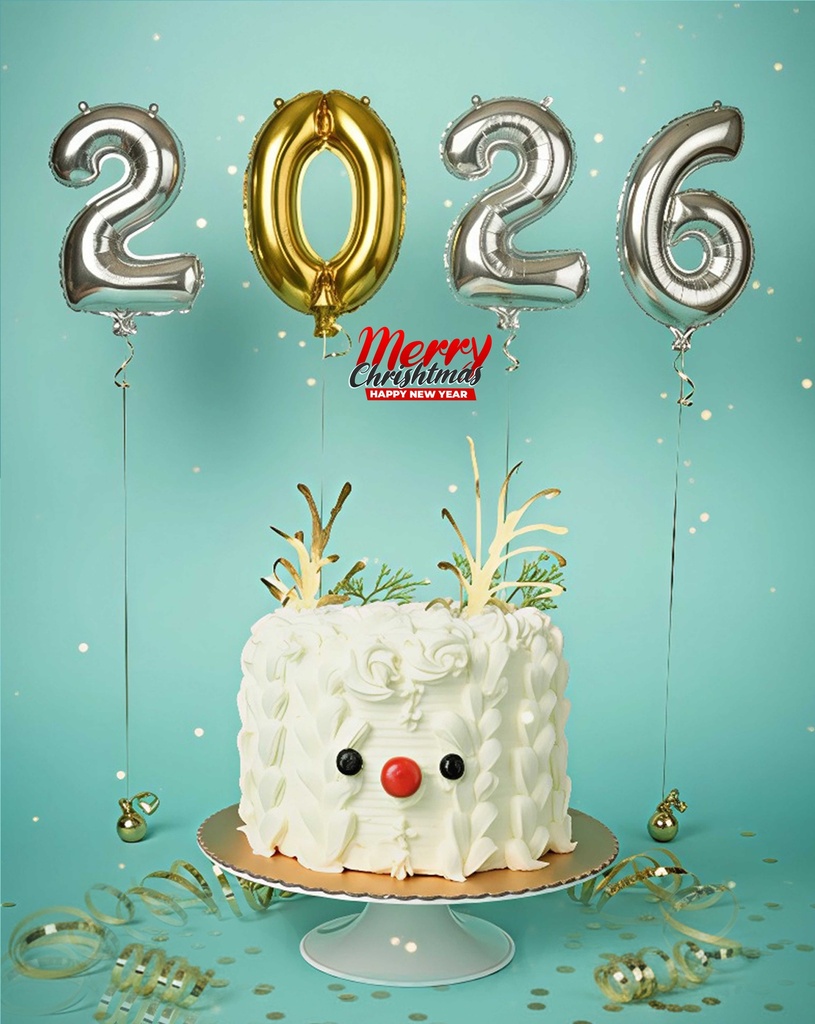 تورتة كريسماس سنومان كود 224